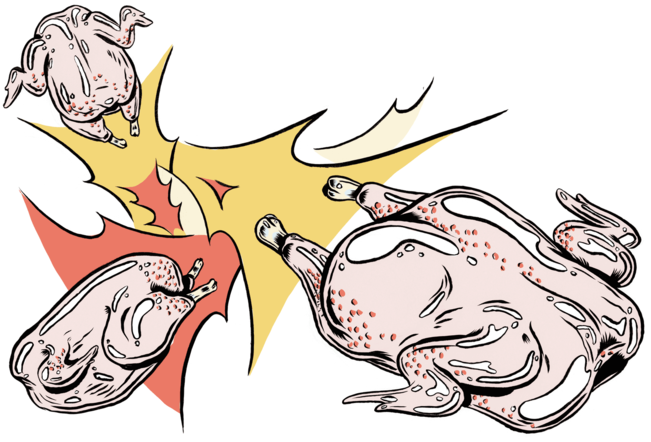 chickenexplode – The Inquisitive Eater