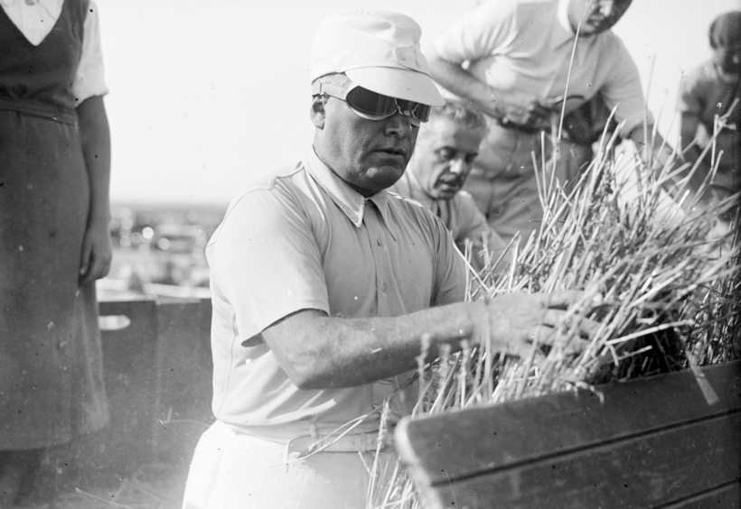 HTTP://WWW.CORRIERE.IT/DATABLOG/I-NUMERI-CHE-MANGIAMO/GRANO/SCHEDA-5.SHTML?REFRESH_CE-CP Mussolini harvesting wheat